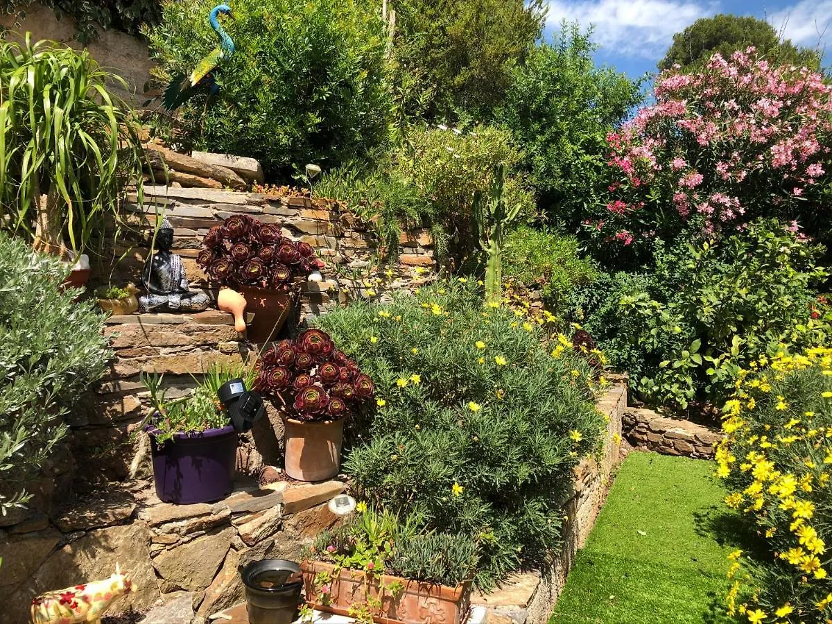 Logement Zen Sur La Colline Aux Mimosas Hyères Lägenhet