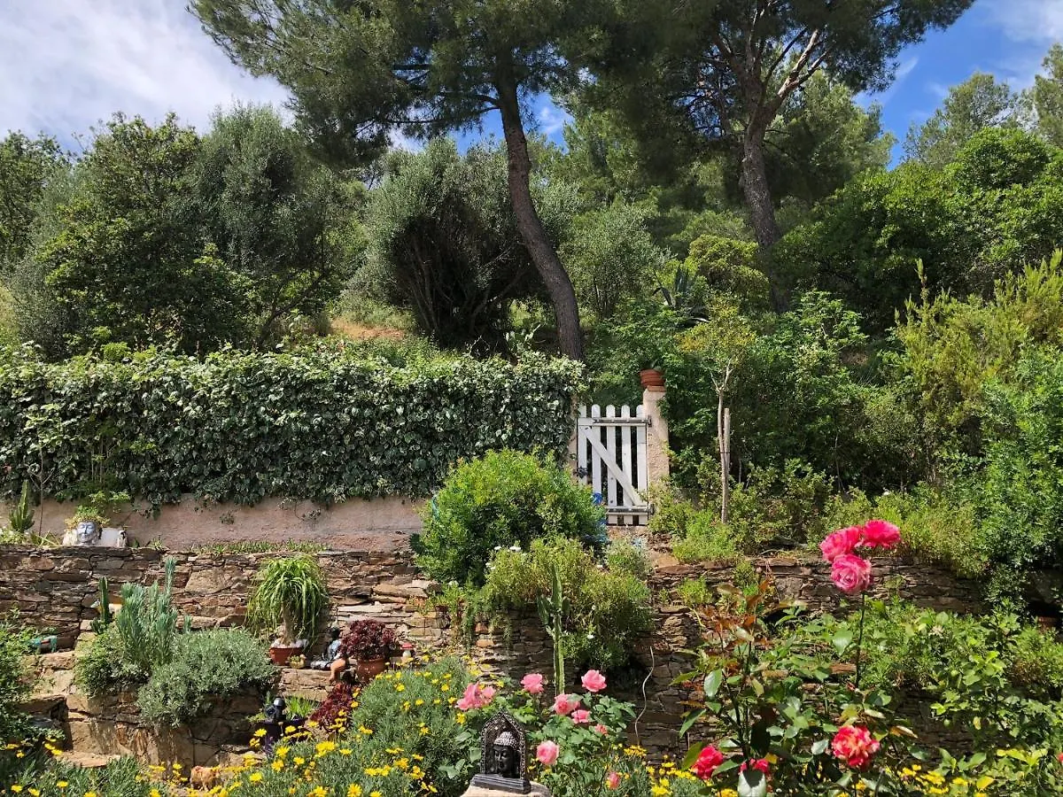 Lägenhet Logement Zen Sur La Colline Aux Mimosas Hyères