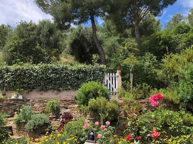 Lägenhet Logement Zen Sur La Colline Aux Mimosas Hyères